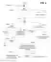 Fig. 07 - Detecting data integrity errors in information comprising similar data element types maintained by dissimilar information systems