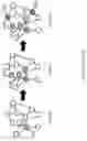 Fig. 02 - Method for backfilling graph structure and articles comprising the same