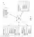 Fig. 10 - Autonomic fusion changes based off data rates