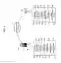 Fig. 02 - Contextual ownership