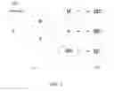Fig. 02 - Memory preserving parse tree based compression with entropy coding
