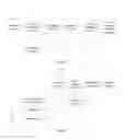 Fig. 32 - License sharing method and apparatus
