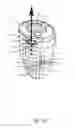 Fig. 09 - Security case with quarantined memory