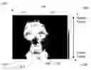 Fig. 01 - Infrared image based facial analysis