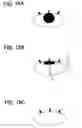 Fig. 11 - Apparatus detecting driving incapability state of driver