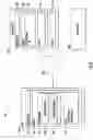 Fig. 07 - Determining orders of execution of a neural network