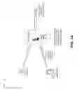Fig. 02 - Feature extraction for machine learning