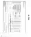 Fig. 04 - Feature extraction for machine learning