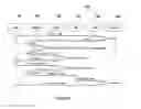 Fig. 09 - METHOD OF AND SYSTEM FOR EFFECTING ANONYMOUS CREDIT CARD PURCHASES OVER THE INTERNET
