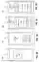 Fig. 04 - USING MICROPATTERNS TO MOTIVATE A CUSTOMER