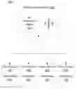 Fig. 01 - Methodology for ensuring viewability of advertisements in a flip-based environment