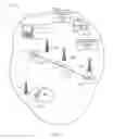 Fig. 02 - Methods, systems and apparatus to generate market segmentation data with anonymous location data