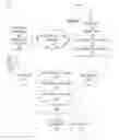 Fig. 01 - IDENTIFYING ACCOUNT SEGMENTS BASED ON CONTENT IMPRESSIONS AND PURCHASE DECISIONS