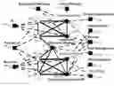Fig. 01 - Complex service network ranking and clustering