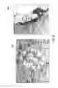 Fig. 20 - Retail deployment model