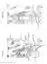 Fig. 05 - Controlling an image displayed on a user interface of a computer device