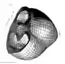 Fig. 05 - Systems and methods for identifying optimized ablation targets for treating and preventing arrhythmias sustained by reentrant circuits
