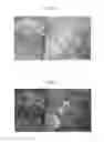 Fig. 05 - IMAGE PROCESSING APPARATUS, IMAGE PROCESSING METHOD, AND IMAGE PROCESSING PROGRAM