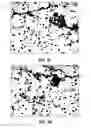 Fig. 04 - Systems and methods for stitching metallographic and stereoscopic images