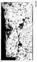 Fig. 06 - Systems and methods for stitching metallographic and stereoscopic images