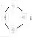Fig. 07 - Systems and methods for stitching metallographic and stereoscopic images