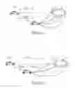 Fig. 10 - System and method for collision avoidance for vehicle