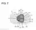 Fig. 08 - Seal member and seal structure for multicore cable