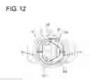 Fig. 13 - Seal member and seal structure for multicore cable