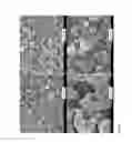 Fig. 04 - Electrode For Photovoltaic Cells And Associated Preparation Process