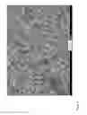 Fig. 07 - Electrode For Photovoltaic Cells And Associated Preparation Process