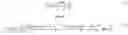 Fig. 02 - Impedance matching circuit for operation with a kilohertz RF generator and a megahertz RF generator to control plasma processes