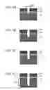 Fig. 02 - Dry-etching method