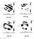 Fig. 09 - Systems and methods of characterizing process-induced wafer shape for process control using CGS interferometry