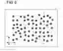 Fig. 07 - Anisotropic conductive film and connection structure