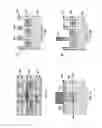 Fig. 05 - Structure to prevent lateral epitaxial growth in semiconductor devices