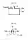 Fig. 08 - Multi bit capacitorless DRAM and manufacturing method thereof