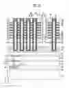Fig. 07 - Manufacturing method of three-dimensional semiconductor memory device