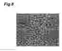 Fig. 09 - Photodiode and photodiode array