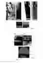 Fig. 03 - METHODS FOR PRODUCING PHOTOVOLTAIC MATERIAL AND DEVICE ABLE TO EXPLOIT HIGH ENERGY PHOTONS