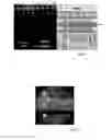 Fig. 04 - METHODS FOR PRODUCING PHOTOVOLTAIC MATERIAL AND DEVICE ABLE TO EXPLOIT HIGH ENERGY PHOTONS