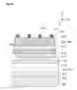 Fig. 37 - SEMICONDUCTOR LIGHT-EMITTING DEVICE AND METHOD FOR MANUFACTURING SAME
