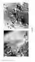Fig. 08 - Light-emitting device having surface-modified luminophores