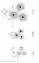 Fig. 03 - Quantum dot encapsulation techniques