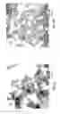 Fig. 05 - Quantum dot encapsulation techniques