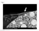 Fig. 08 - Light emitting device