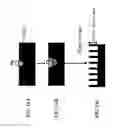 Fig. 15 - Thermoelectric devices, systems and methods