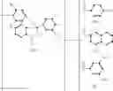 Fig. 30 - Noncrystallizable sensitized layers for OLED and OEDs