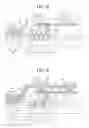 Fig. 06 - Organic light emitting display apparatus and method of manufacturing the same
