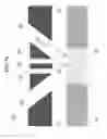 Fig. 06 - Nozzle assembly and nozzle array for OVJP