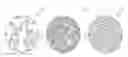 Fig. 01 - Solid electrode including electrolyte-impregnated active material particles